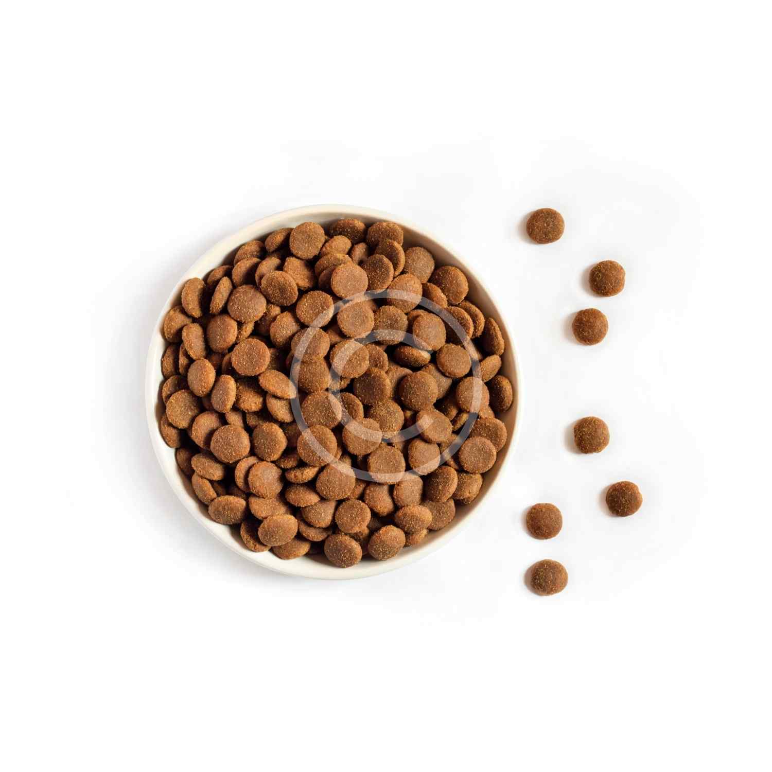 Dry Dog Food Augusta K9 Center